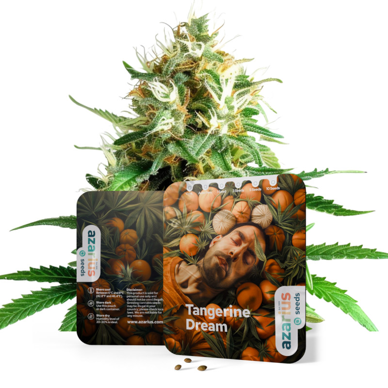 Tangerine Dream Tangerine Dream