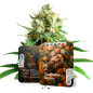 Tangerine Dream Tangerine Dream