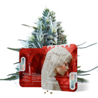 copy of White Widow Auto