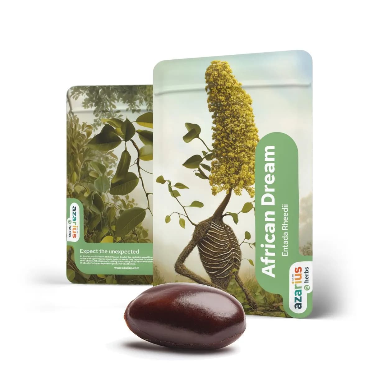 African Dream seed