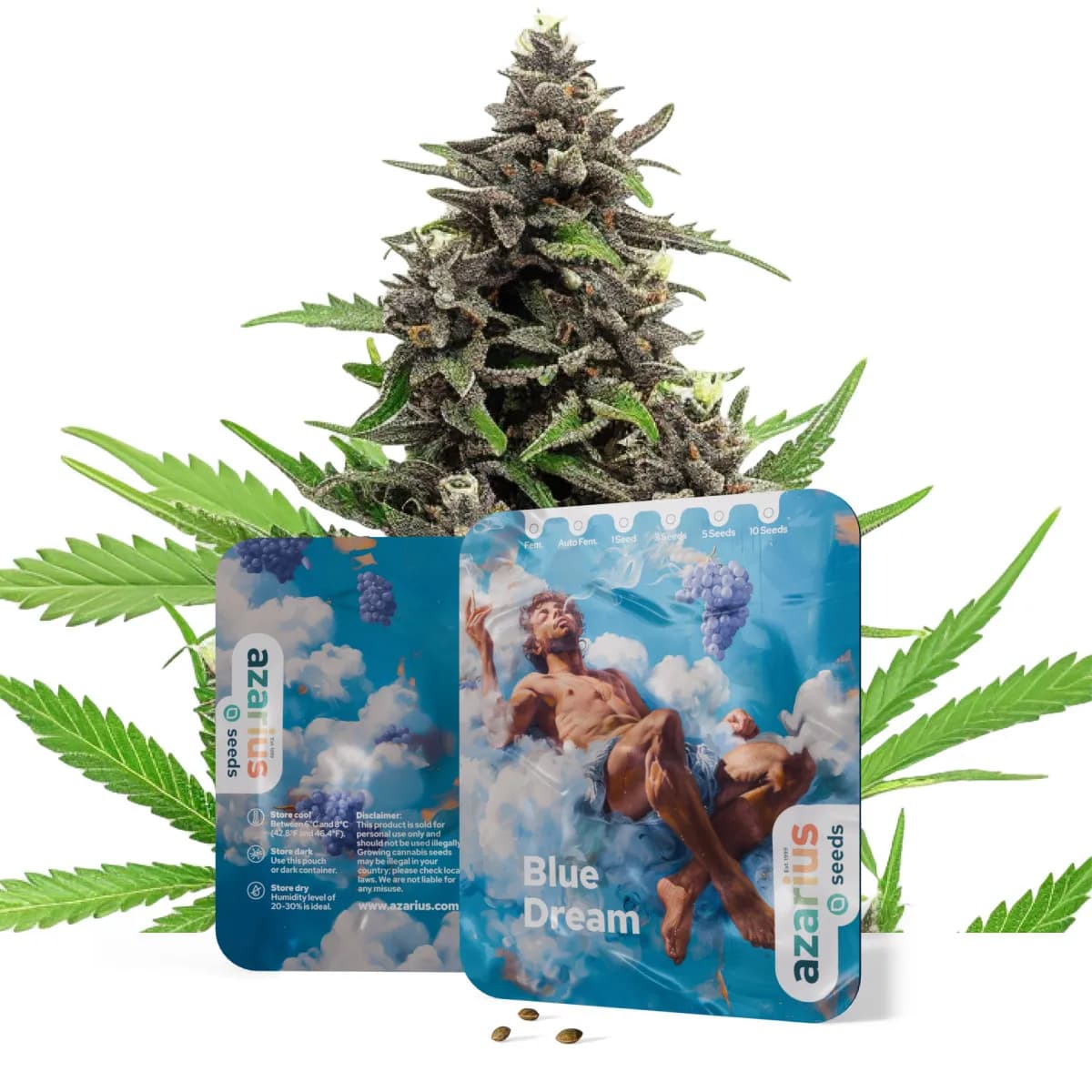Blue Dream