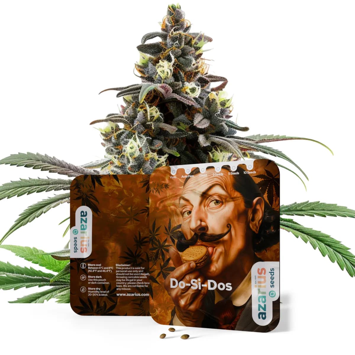 Do-Si-Dos