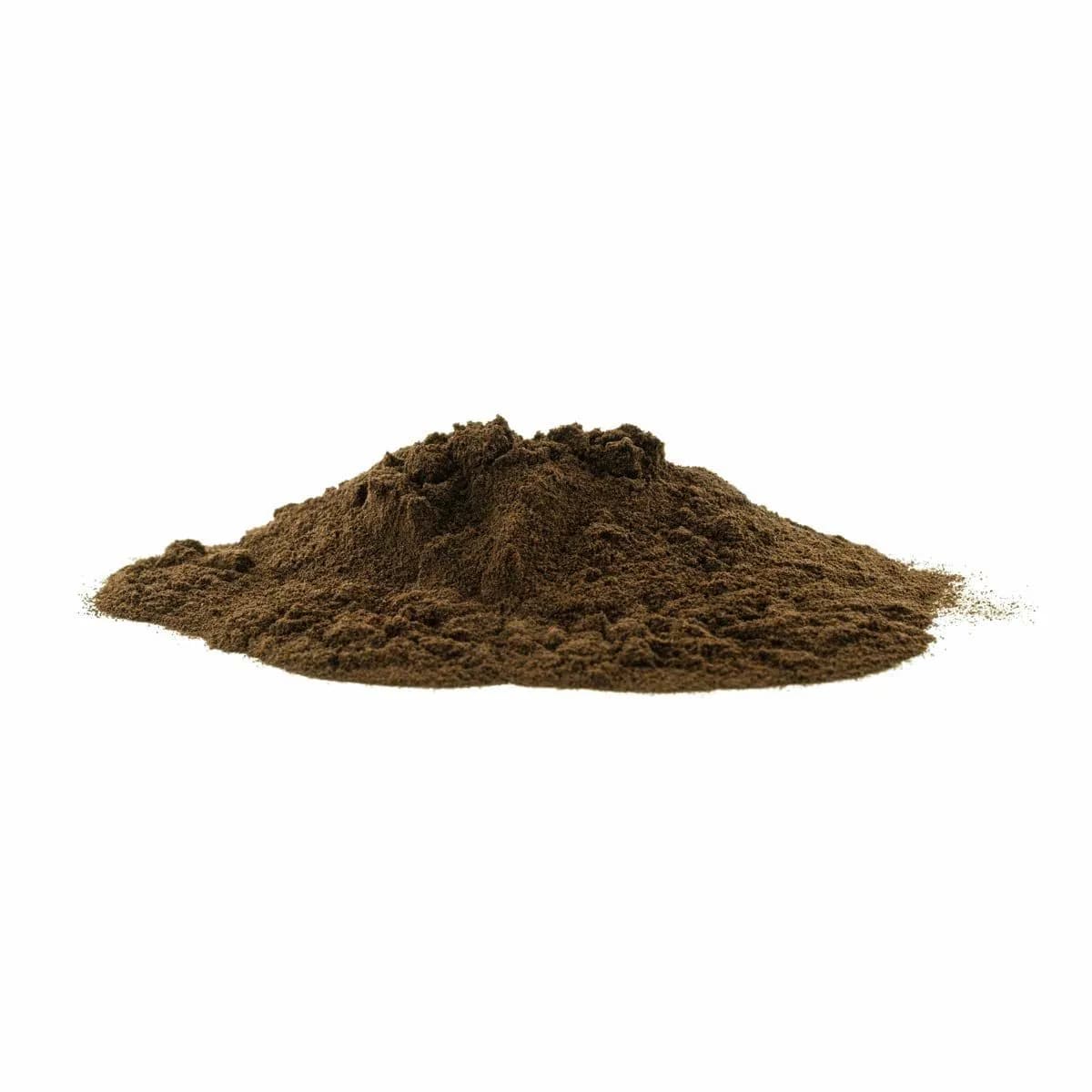 Inonotus Obliquus Chaga