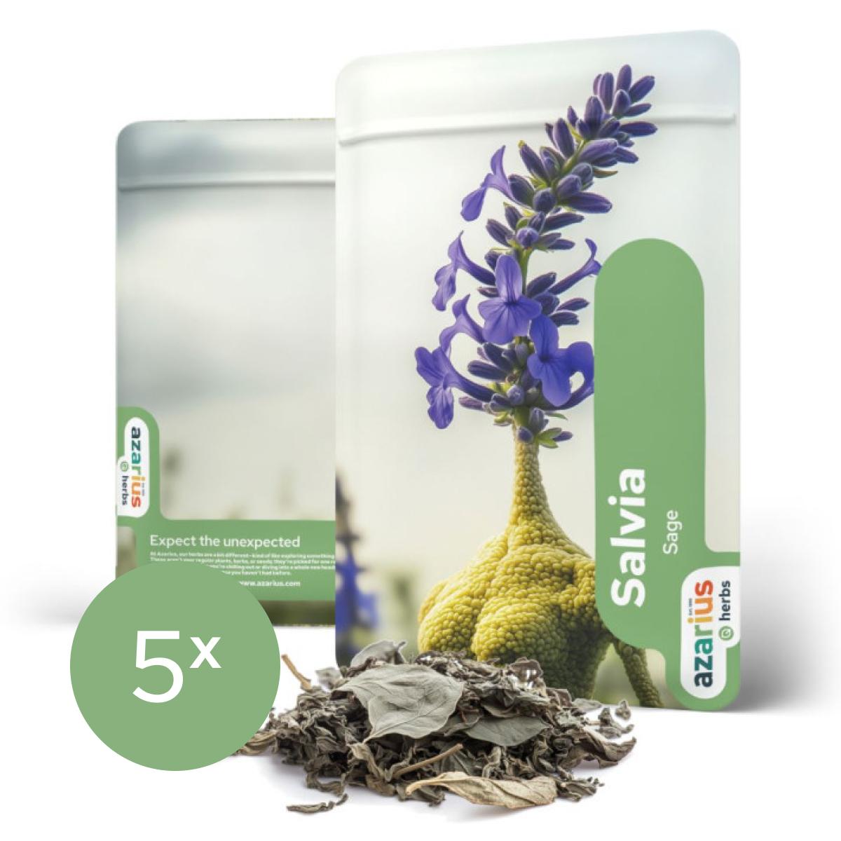 Salvia Divinorum 1x