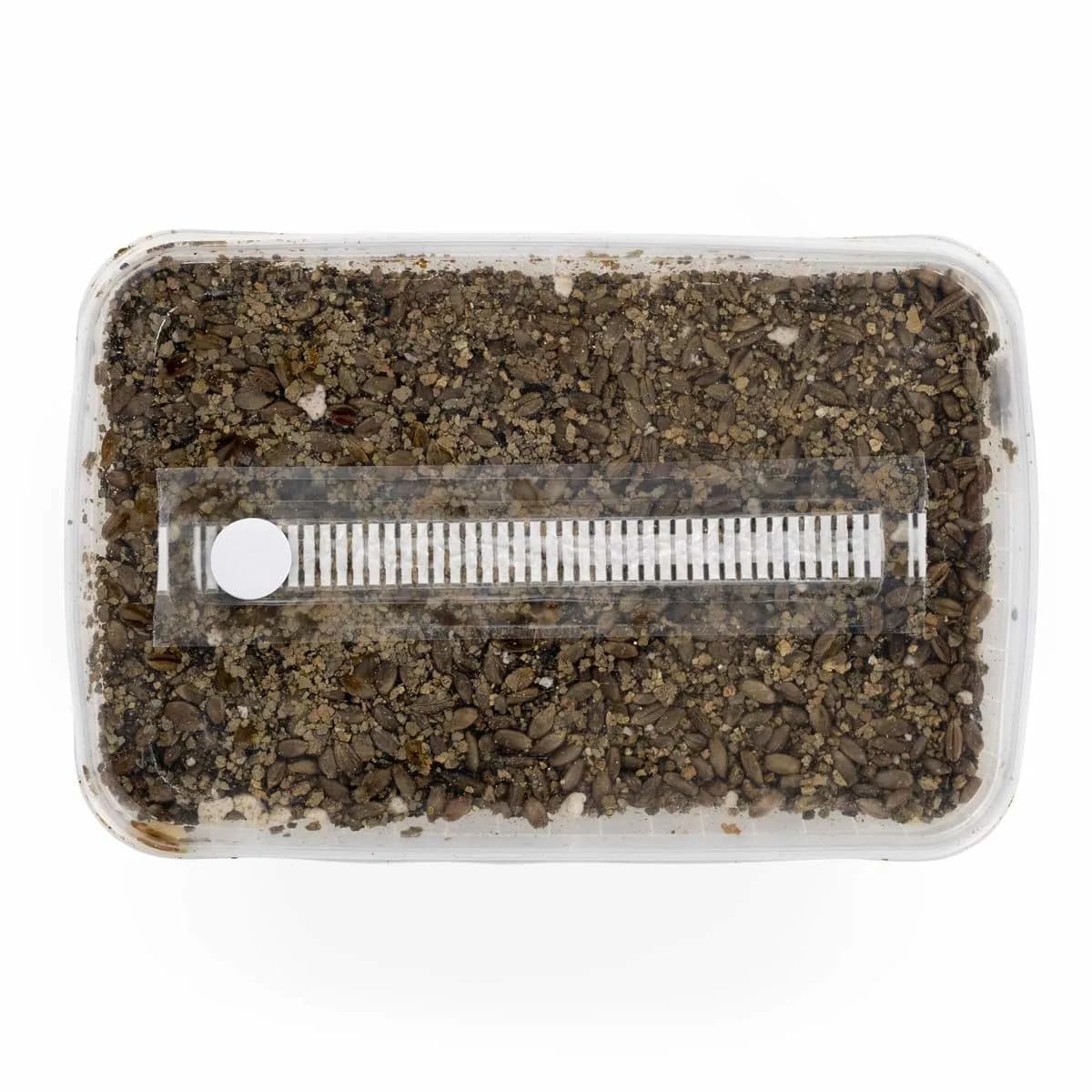 Gesteriliseerde Substraatkit