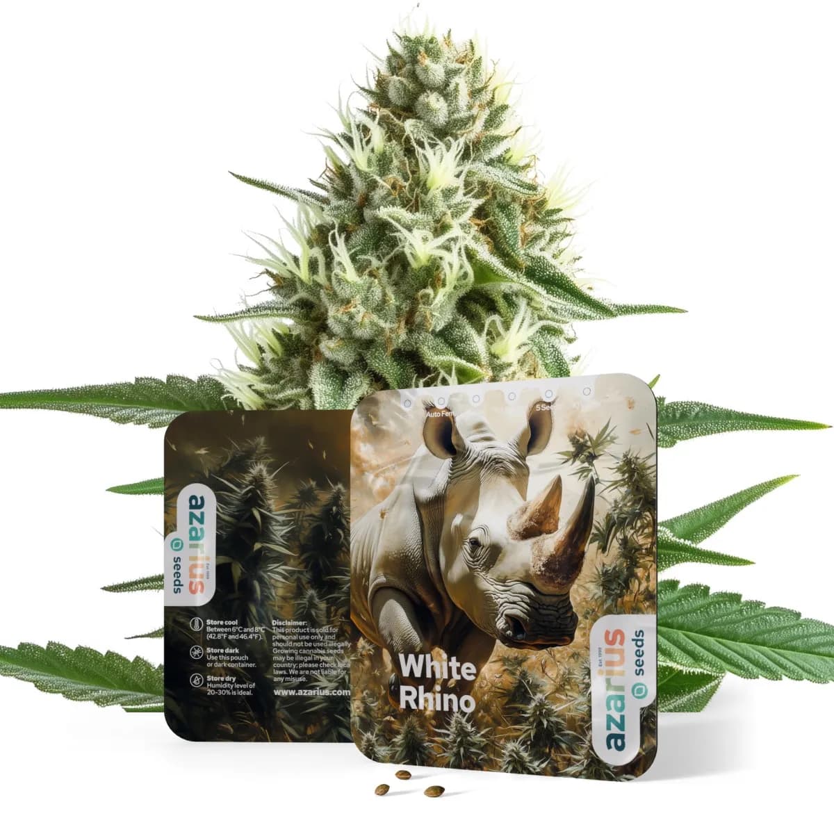 White Rhino