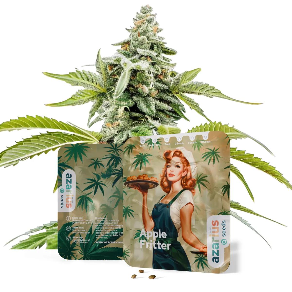 Apple Fritter Auto