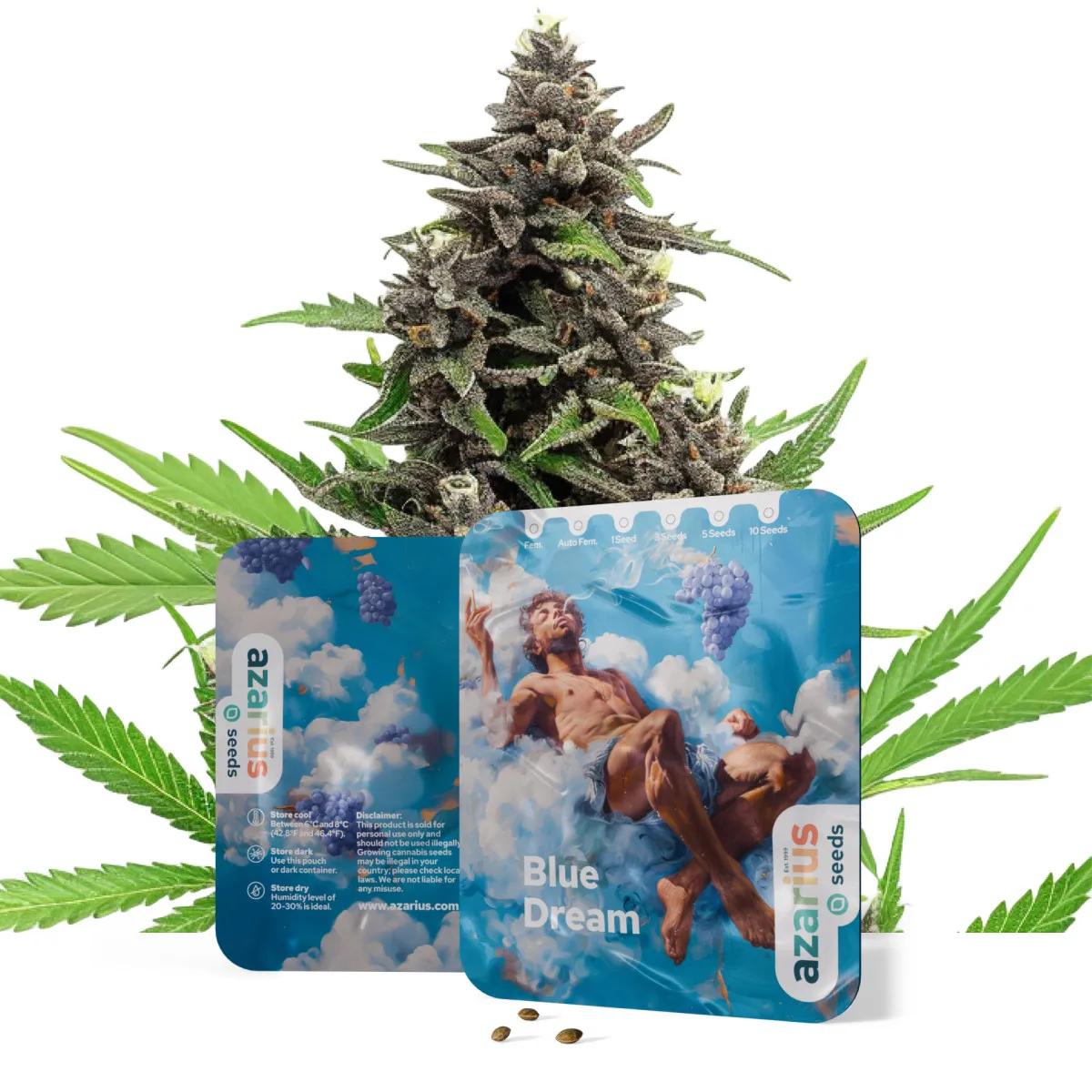 Blue Dream