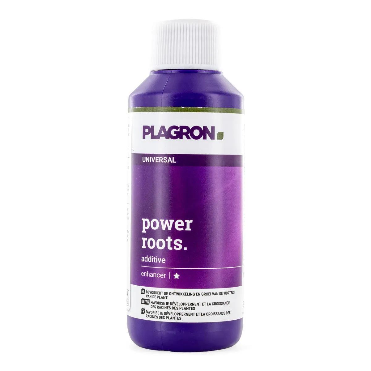 Power Roots
