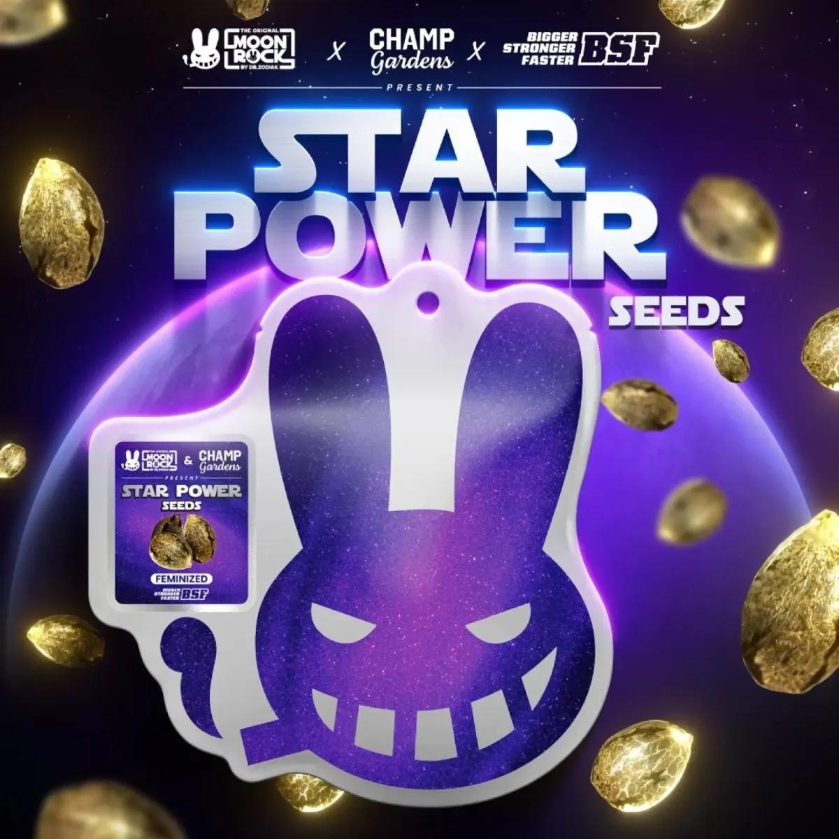 Star Power (BSF Seeds x Moon Rock)