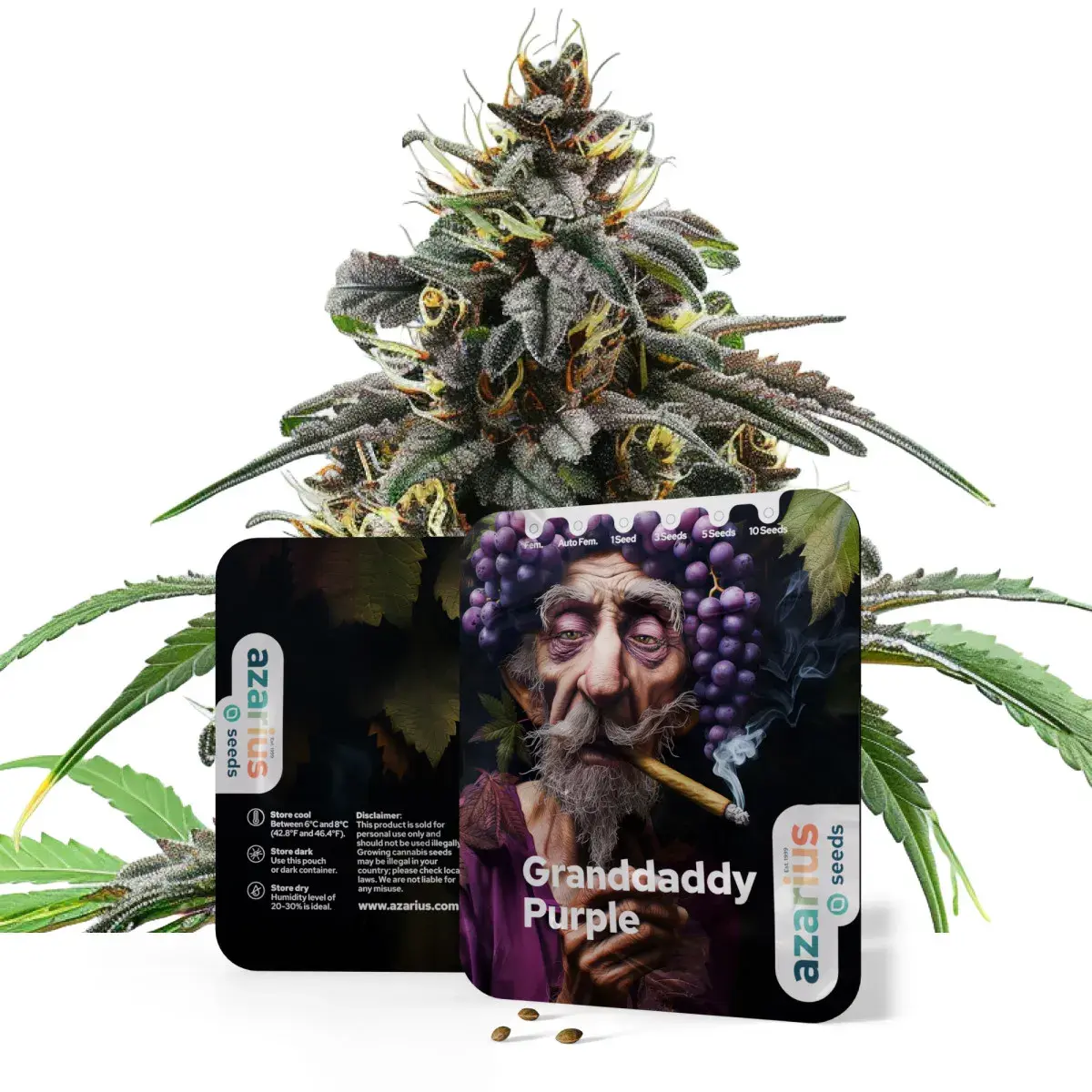 Granddaddy Purple Auto