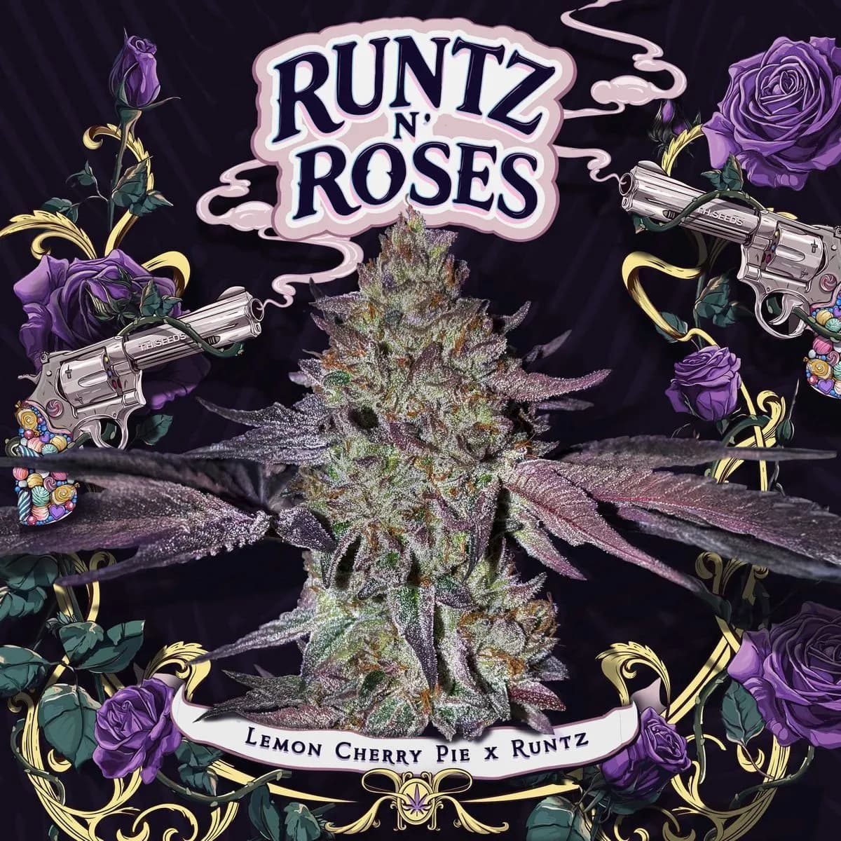Runtz 'N Roses (T.H.Seeds)