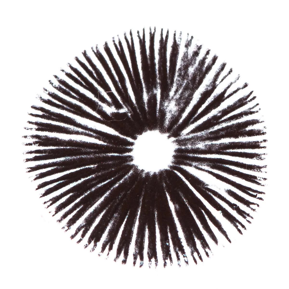 Sporenafdruk Psilocybe Cubensis Golden Teacher