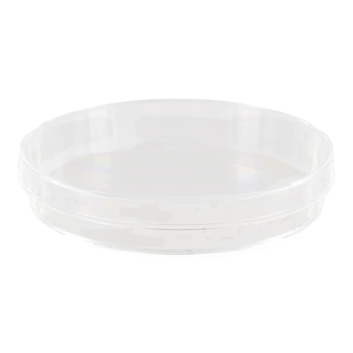 20 Plastic Petrischalen Steriel