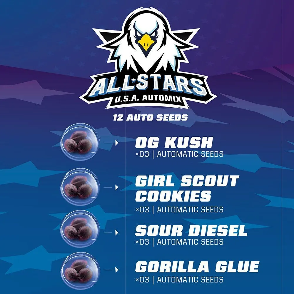 All Stars USA Automix — afbeelding 2