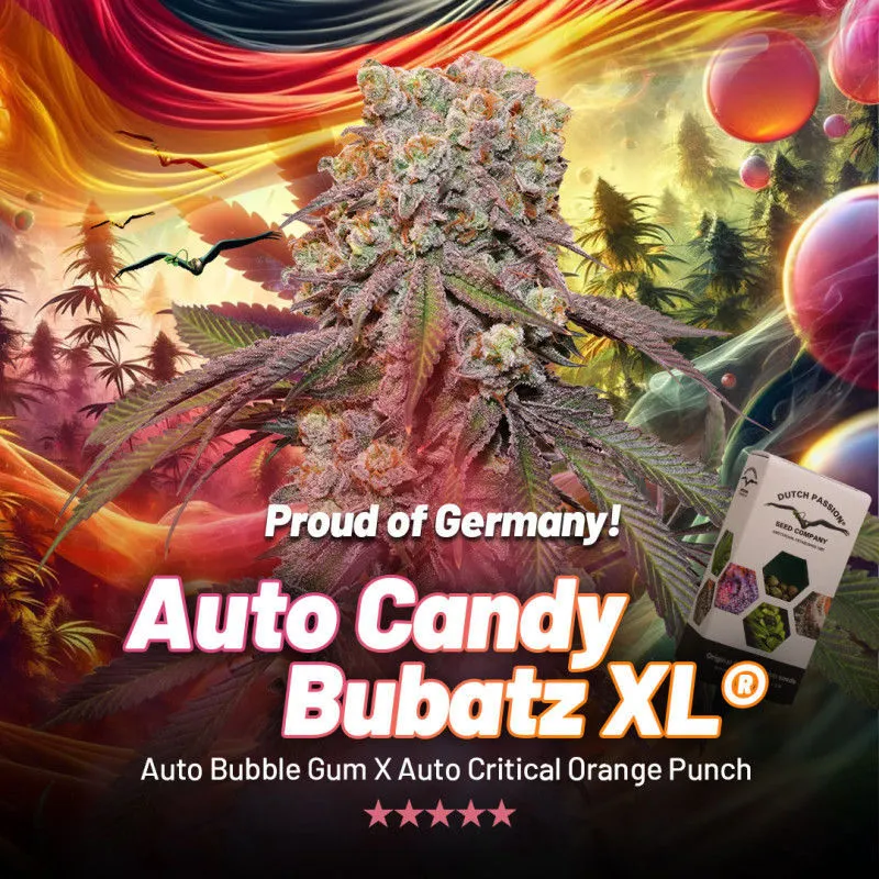 Auto Candy Bubatz XL — afbeelding 2