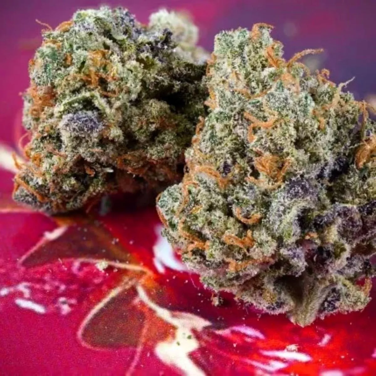 Auto Strawberry Soda — afbeelding 3