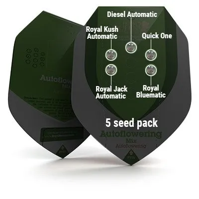 Autoflowering Mix — afbeelding 3