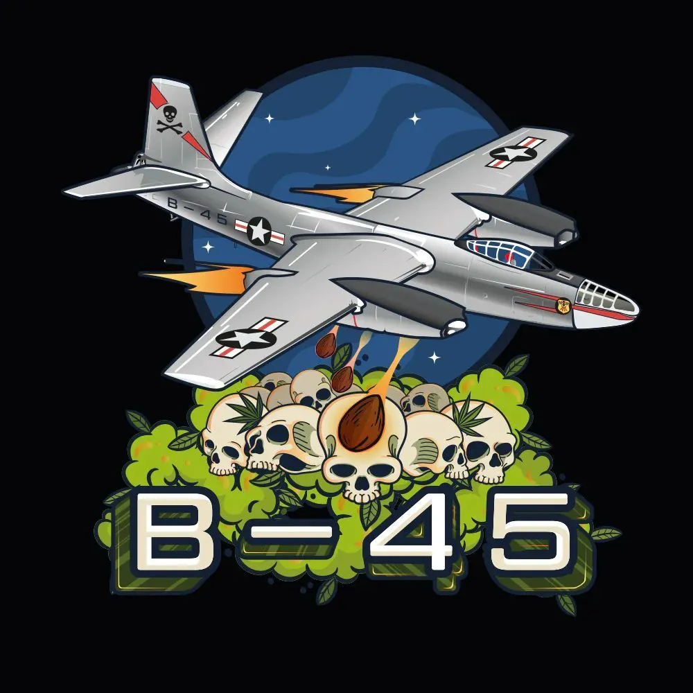 B-45 by Booba — afbeelding 2
