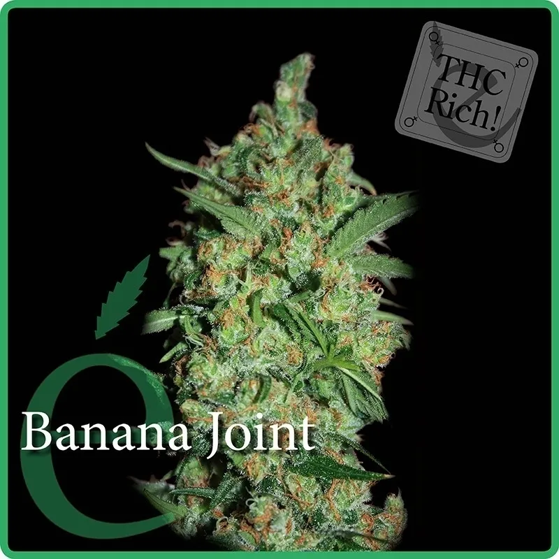 Banana Joint — afbeelding 2