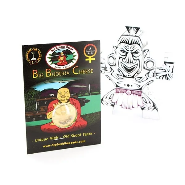 Big Buddha Cheese — afbeelding 3