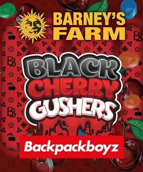Black Cherry Gushers (Barney's Farm x Backpackboyz) — afbeelding 4