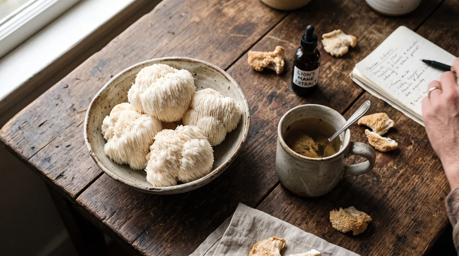 AZARIUS · 1. Lion's mane — de paddenstoel voor je hersenen