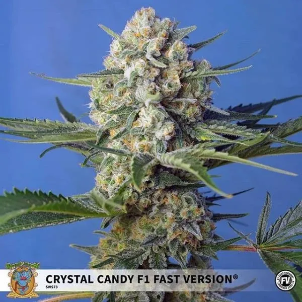 Crystal Candy F1 Fast Version