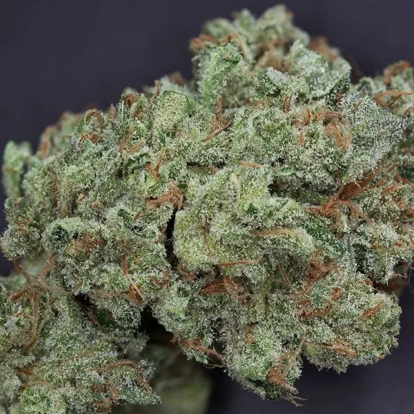 Ghost Train Haze 1 — afbeelding 3
