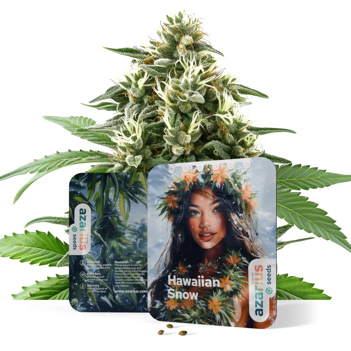 Hawaiian Snow Auto