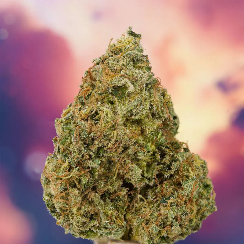 Ice Cream Haze — afbeelding 2