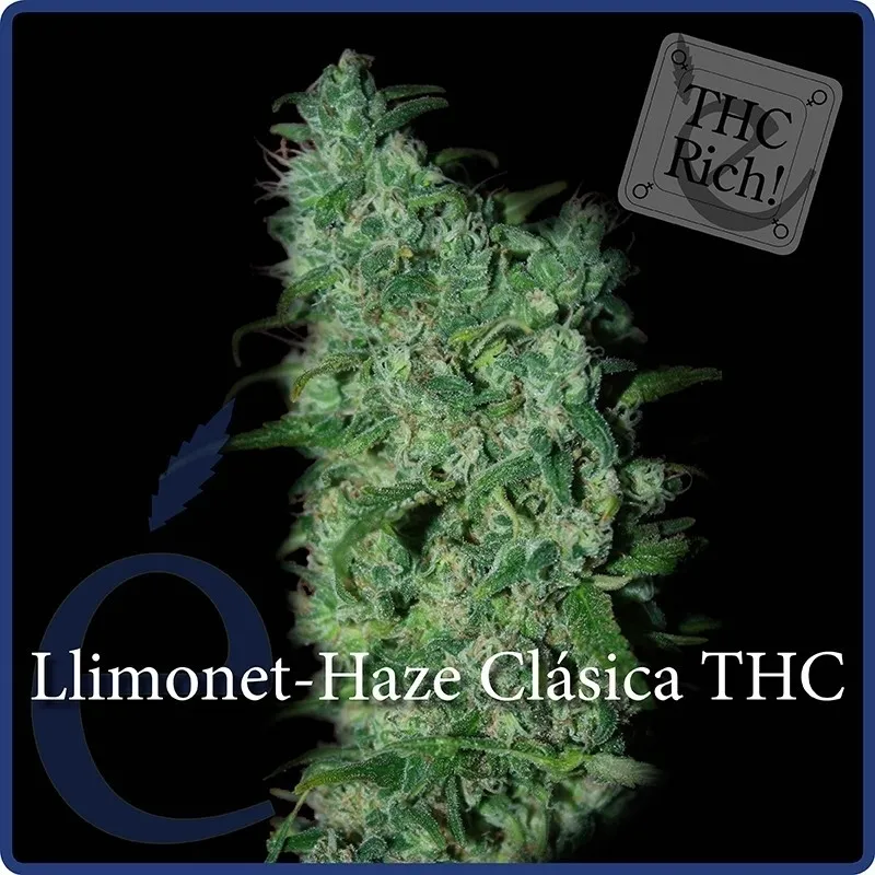 Llimonet Haze Classic THC — afbeelding 2