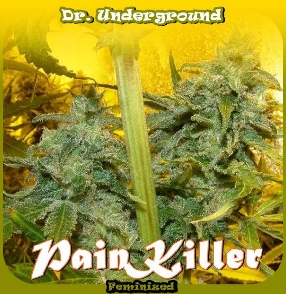 PainKiller — afbeelding 2