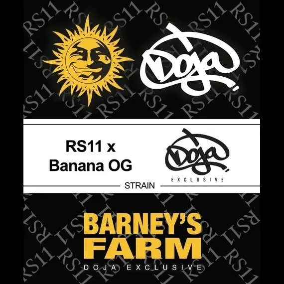RS11 x Banana OG — afbeelding 2