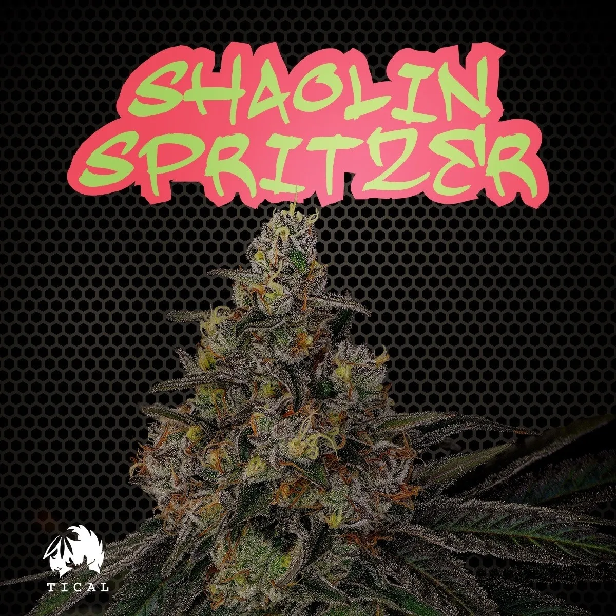 Shaolin Spritzer (TICAL)