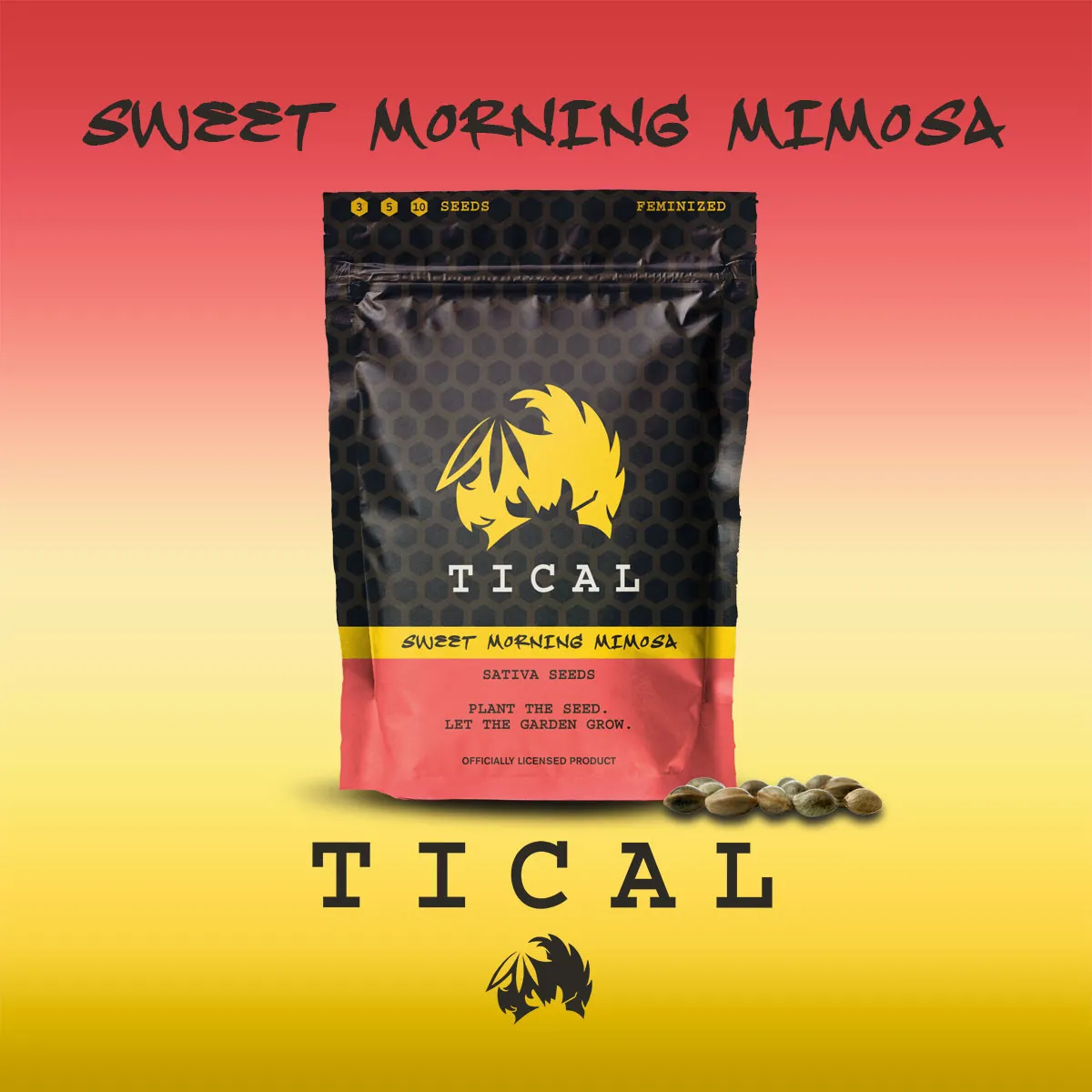 Sweet Morning Mimosa (TICAL) — afbeelding 2