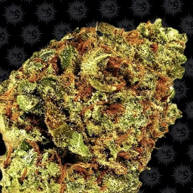 Watermelon Zkittlez — afbeelding 2